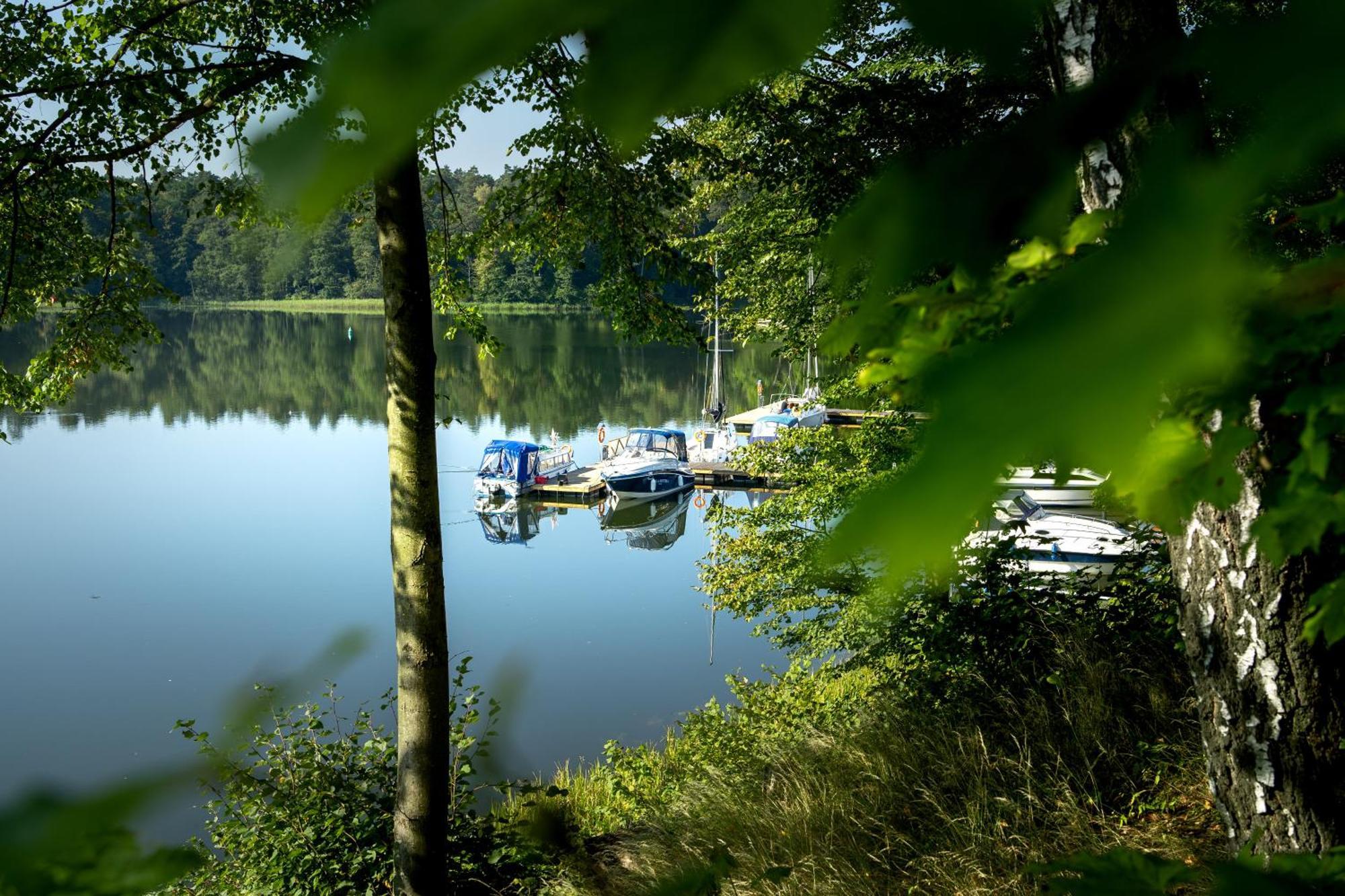 Ruciane Park - Mazury Resort & Spa Номер фото